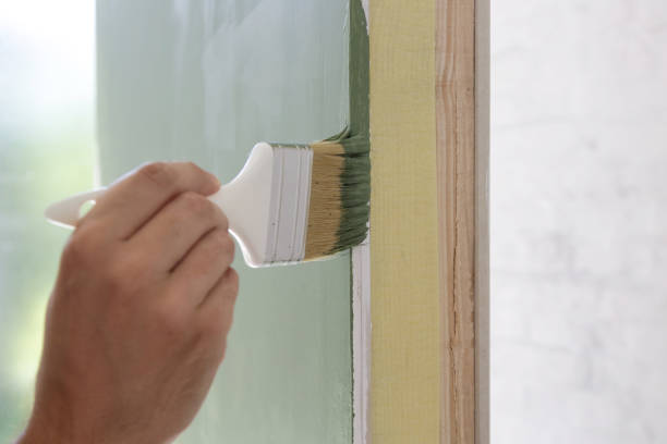 Trusted Forest City, NC Mold Removal Experts